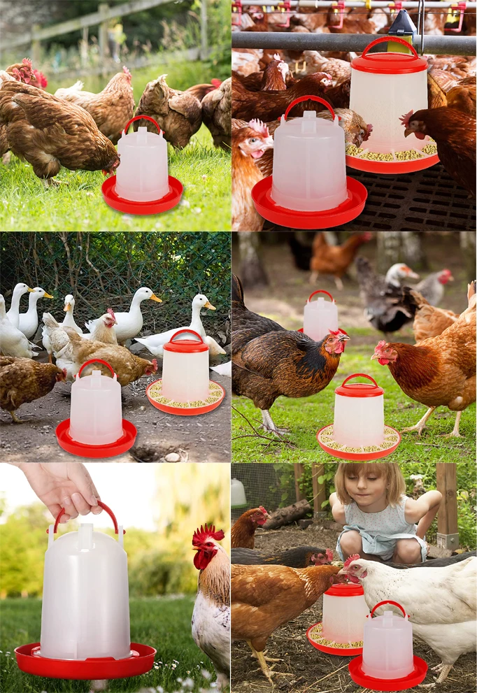 Chicken drinker-40.jpg