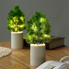 Pine and cypress