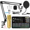 Conjunto de tarjeta de sonido Gold-Gold BM800+V10xPro