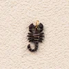Scorpio