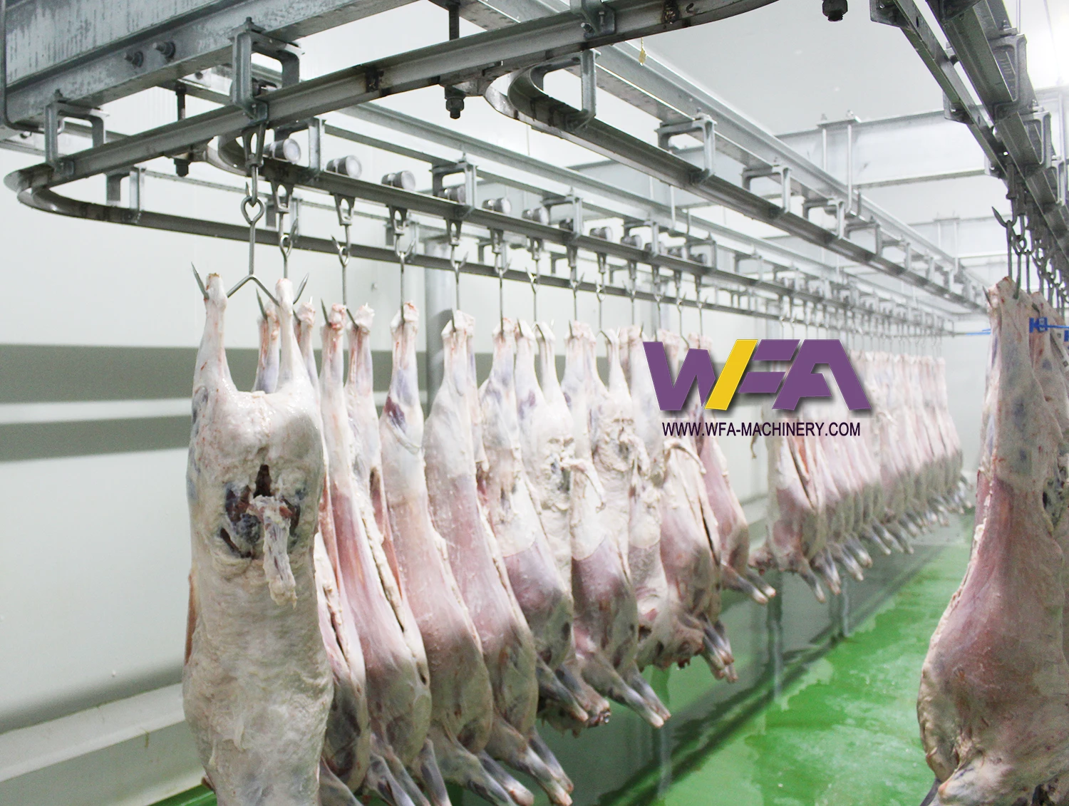Complete WFA Sheep Meat Processing Slaughter House of Goat Butcher Overhead Rail Pulley Hook