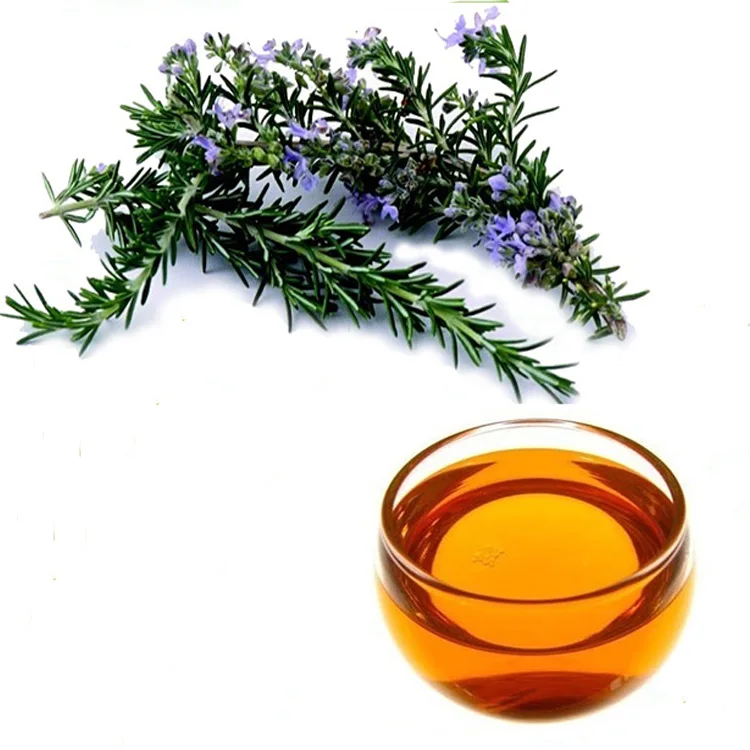 Rosemary Extract Ursolic Acid Powder Cas No 77521 Buy Rosemary