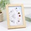 Colorful stone d (palm)