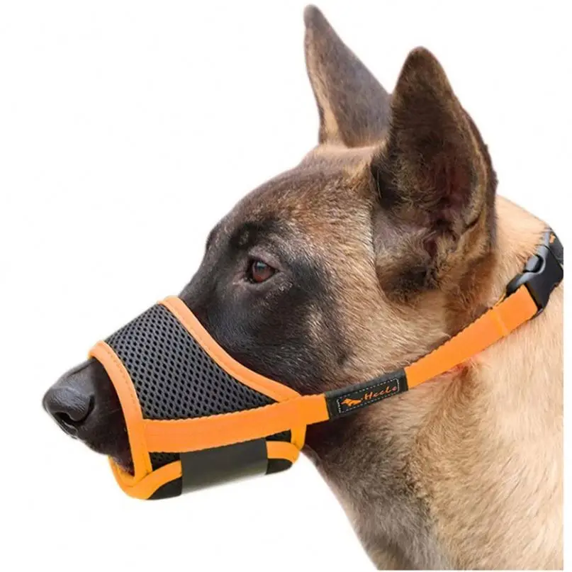 what is the best muzzle for a dog