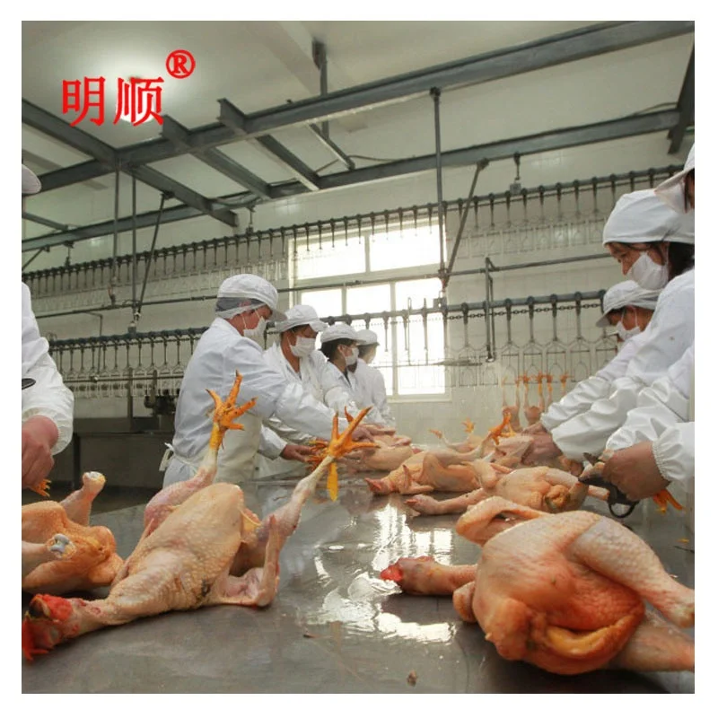 Poultry Slaughtering Production Line  1000-2000bph Halal Chicken Slaughtering Machine Chicken Slaughter House