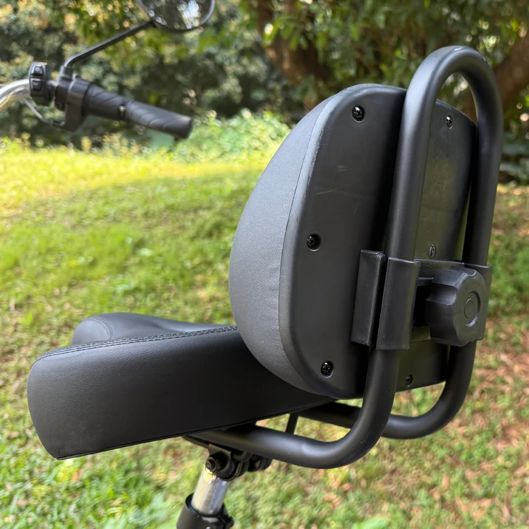 EU Warehouse 48V 350W 22Ah Lithium Battery 3-Wheel Tricycle Cargo Electric Bike with Disc Brake Foldable Brushless Motor