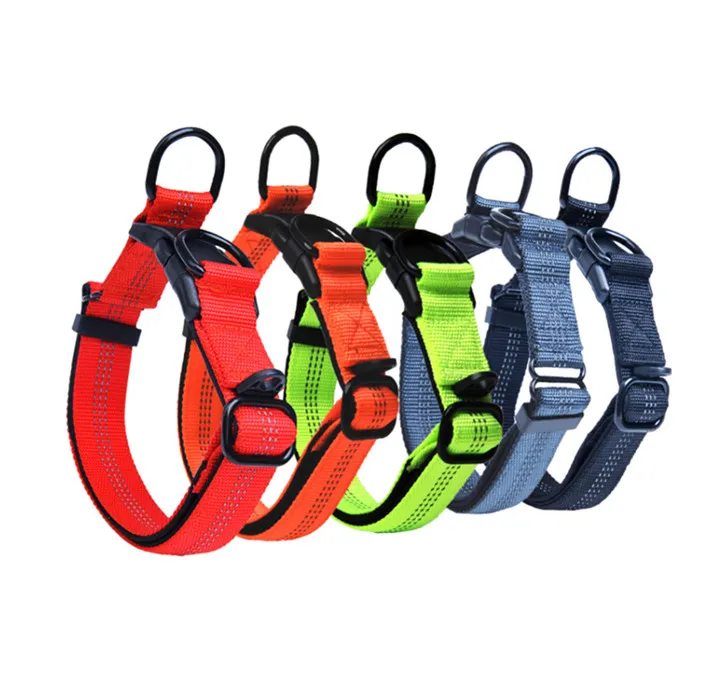 best custom dog collars