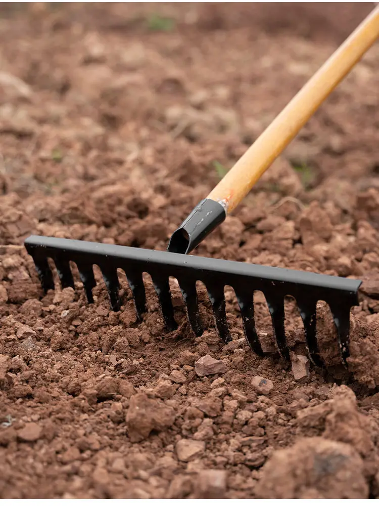 Rastrello da giardino VITO a 5 punte con manico in legno, acciaio inox