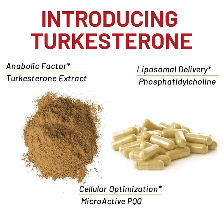Turkesterone Capsules Ajuga Turkestanica Extract Turkesterone Powder