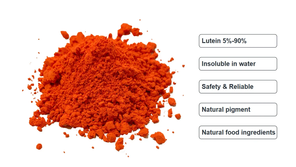 product-1-1 Lutein Powder Bulk