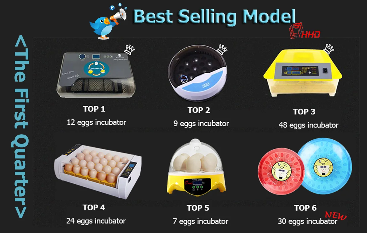 1TOP6