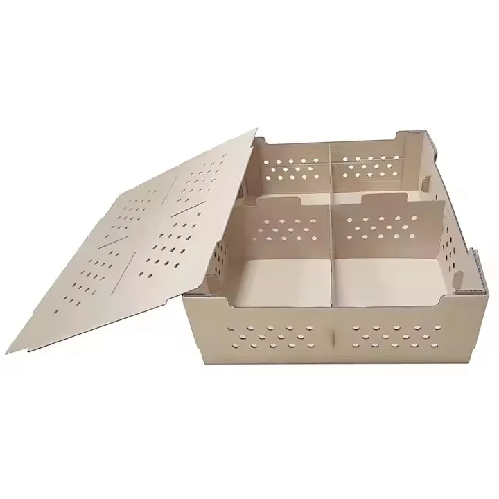 Custom Sturdy Cardboard Shipping Poultry Carton Packing Box 25 50 100pcs Live Baby Chick Birds Box