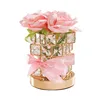 Pink- Plug-in
