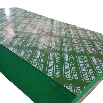 formwork 18mm best Film Faced Plywood Green Plastic PVC Formwork Plywood for Construction