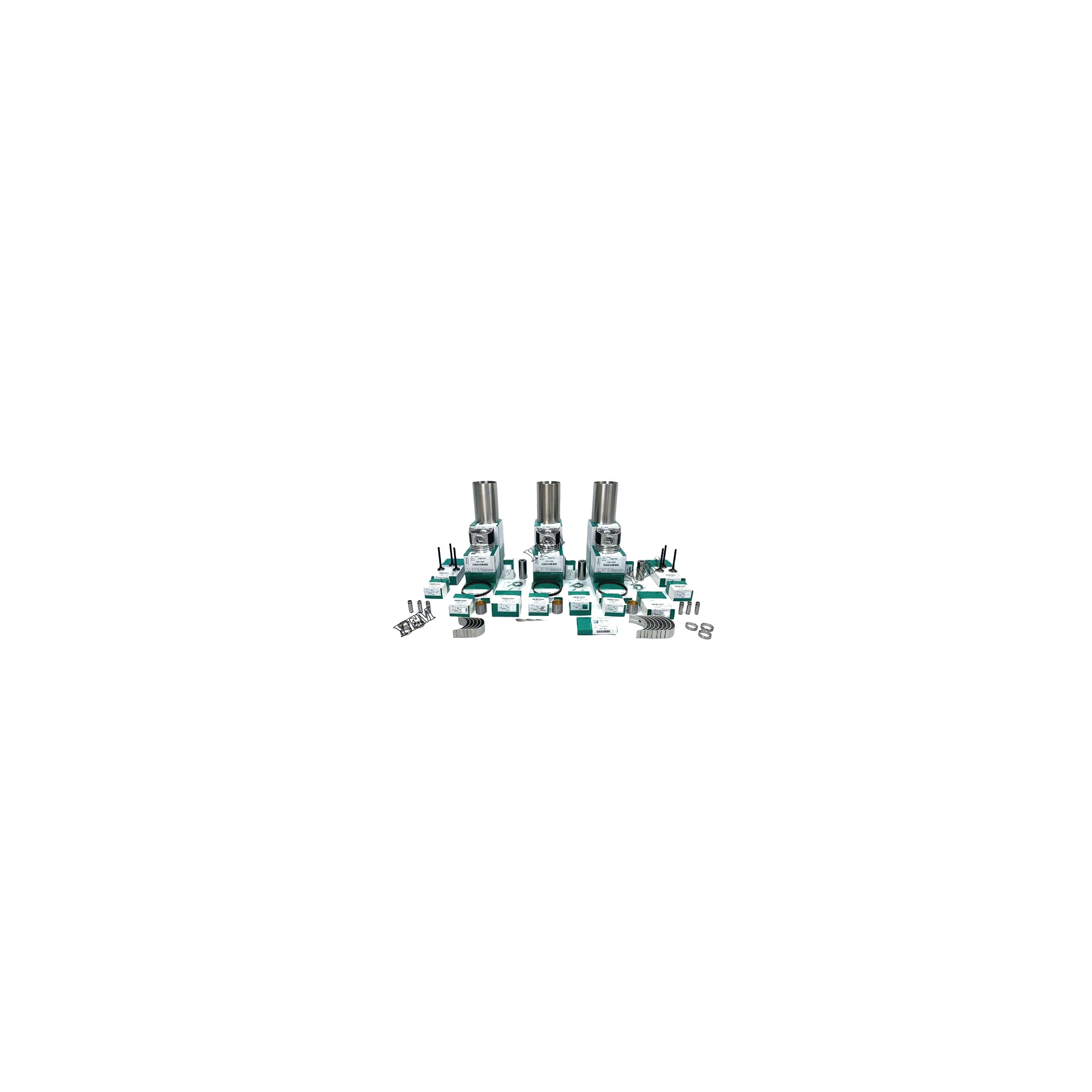 3TN66 OVERHAUL KIT WITH VALVES FIT for YANMAR ENGINE Diesel Engine Parts