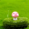 mushroom 06