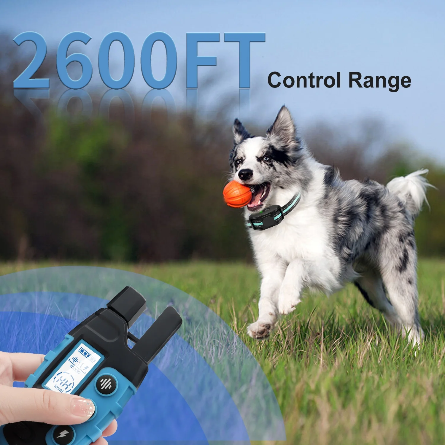 Factory Producing Dog Training Collar Humane No Shock Electric Training Collars High End Training Collar Dog IP67 3608FT Range