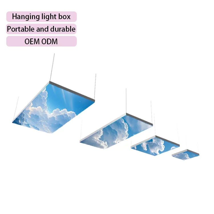 Hanging Sign Advertising Agencies Led Seg Metal Ultra-thin Ceiling Suspended Light Box Advertising for Store Exhibition