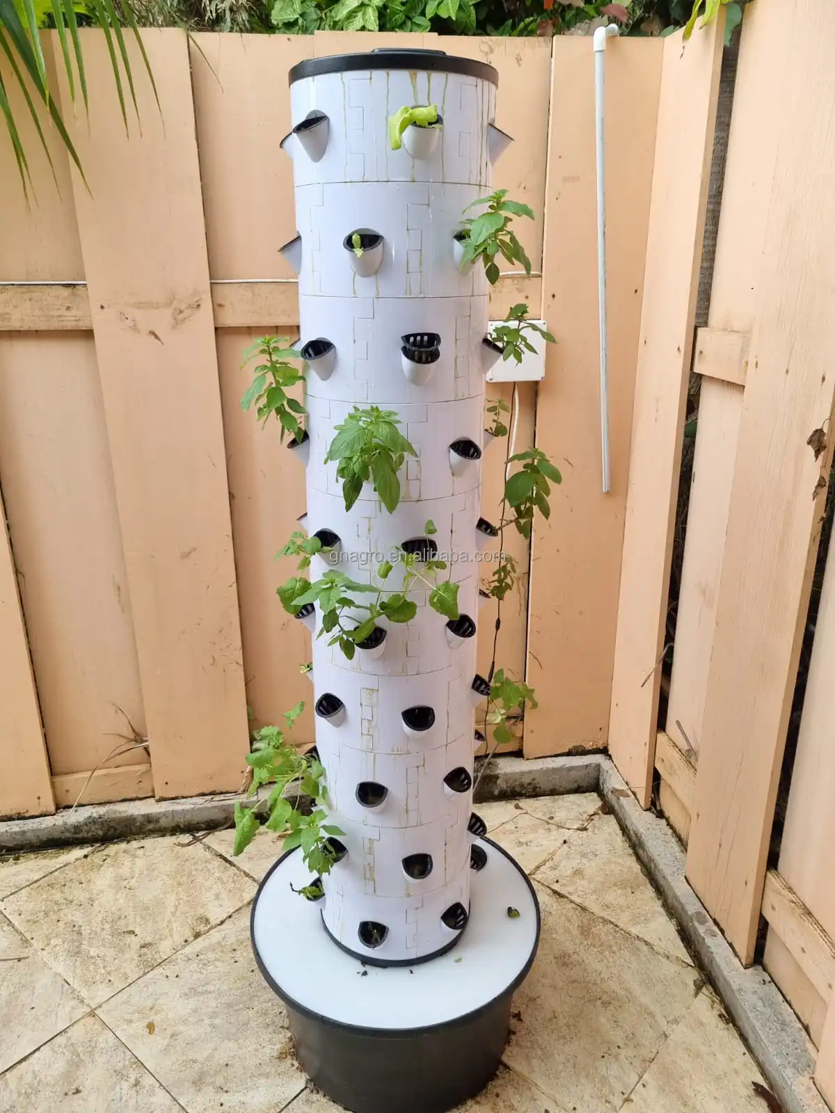 Hydroponics Systems Garden Vegetables Pvc Pineapple Planting Vertical ...