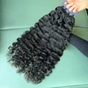 burmese curly