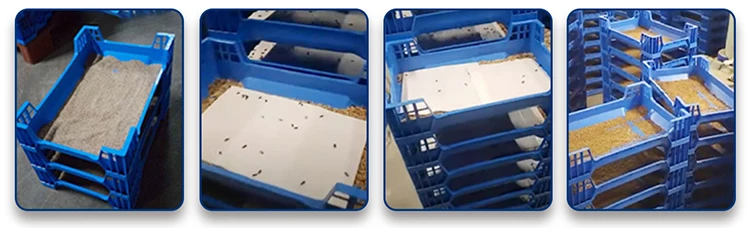 Stackable Insect Farming Black Soldier Fly Larvae Farming Box - Stackable Insect Breeding ...