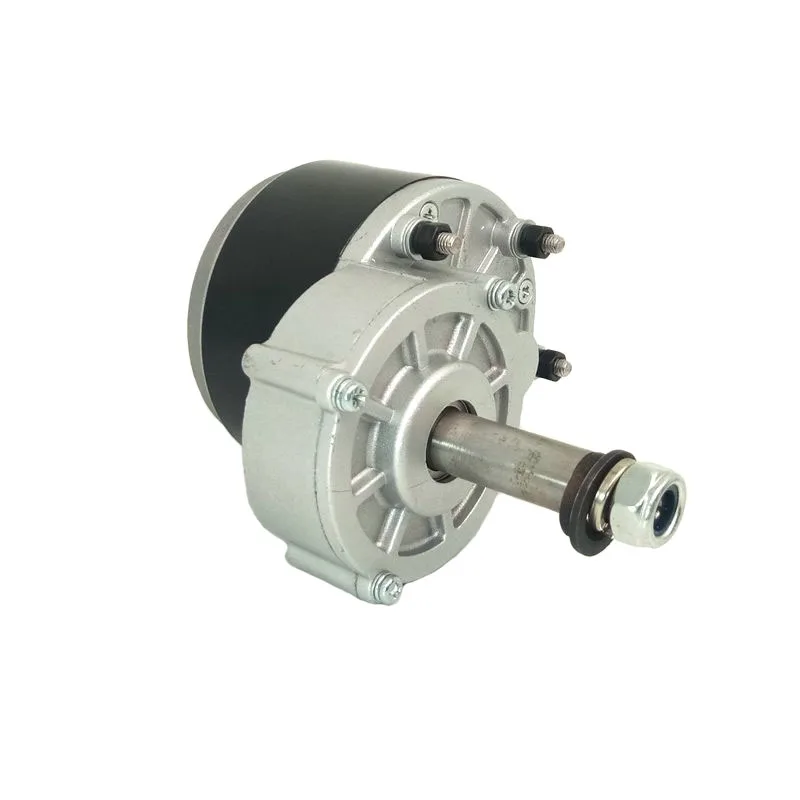 MY1016Z 250W 24V Powerful Dc Brushed Gear Motor Electric Scooter Motor with Longer Shaft
