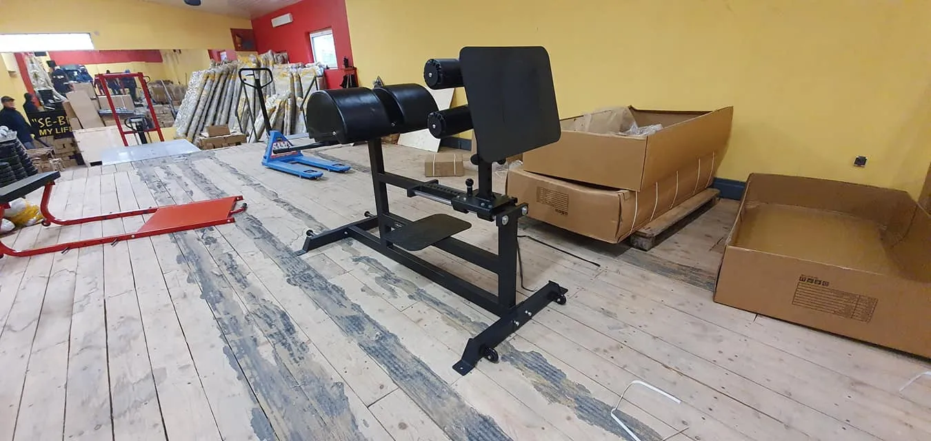 GHD/Glute Hamstring Developer High Quality Glute Ham Developer Glute Ham Developer Bench Gym and Commercial Used Machine