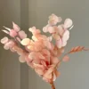 Pesca rosa 100g