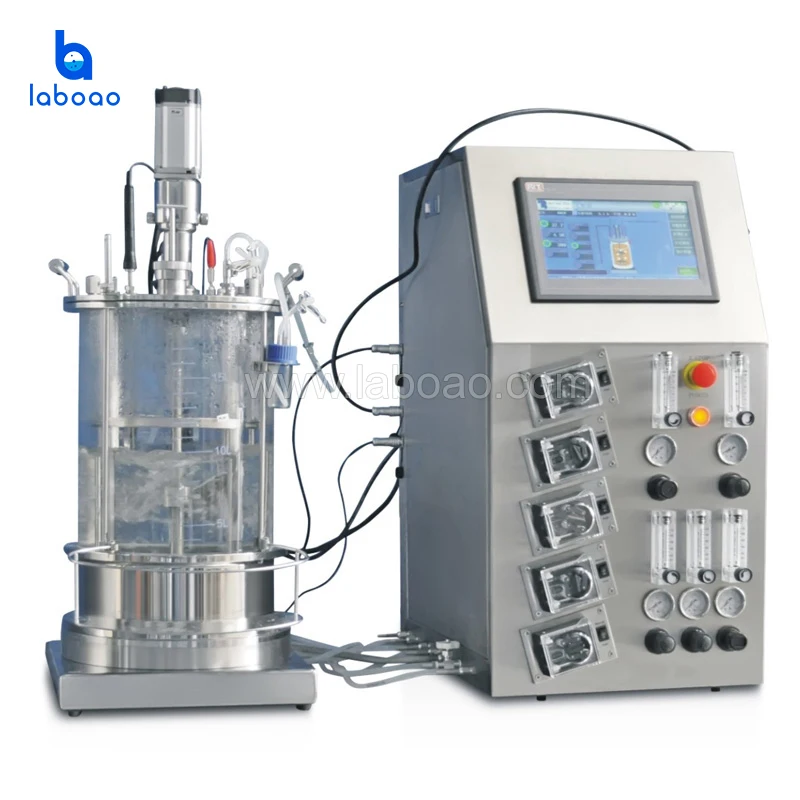 LABOAO Lab Scale 5L Bioreactor Fermenter Elevate Your Cell Culture Research with Precision Control