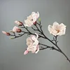 Bianco e rosa