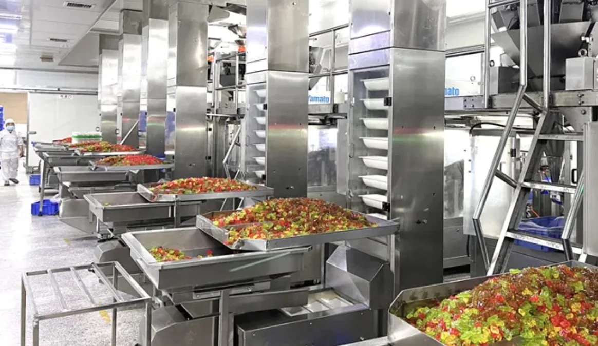 2023 New Gummy Bear Candy Forming Machine Candy Molding Machine Candy Forming Machine Buy