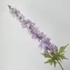 สีม่วง
