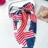 Bow ribbon spring clip-light blue