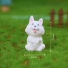 Samoyedo - Lindo perro