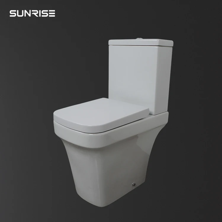 Western Commode Designer Bathroom Rimless Wholesale WC Ceramic Sanitary Toilet Bowl Toilet With Bidet Function