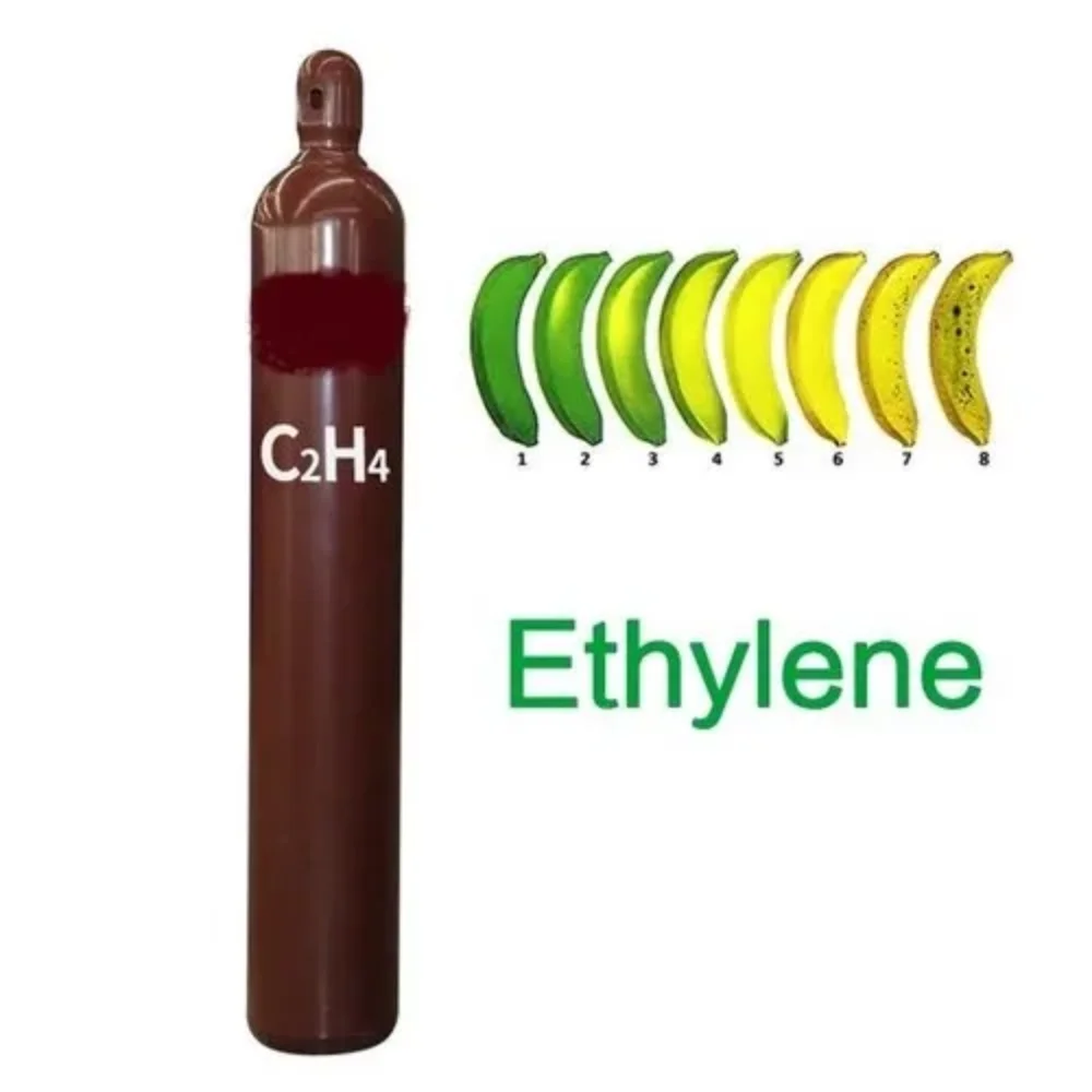 Industrial Grade Purity 99.95 C2H4  Ethylene Gas cylinder For Fruits Ripening C2H4 Gas