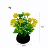 A007 สีสันสดใส