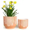 Modern Orange Floral