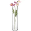 Transparente