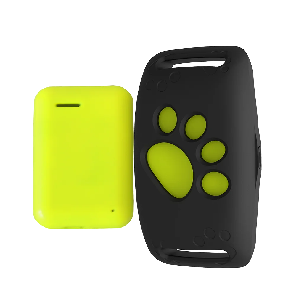 dog collar tracking device
