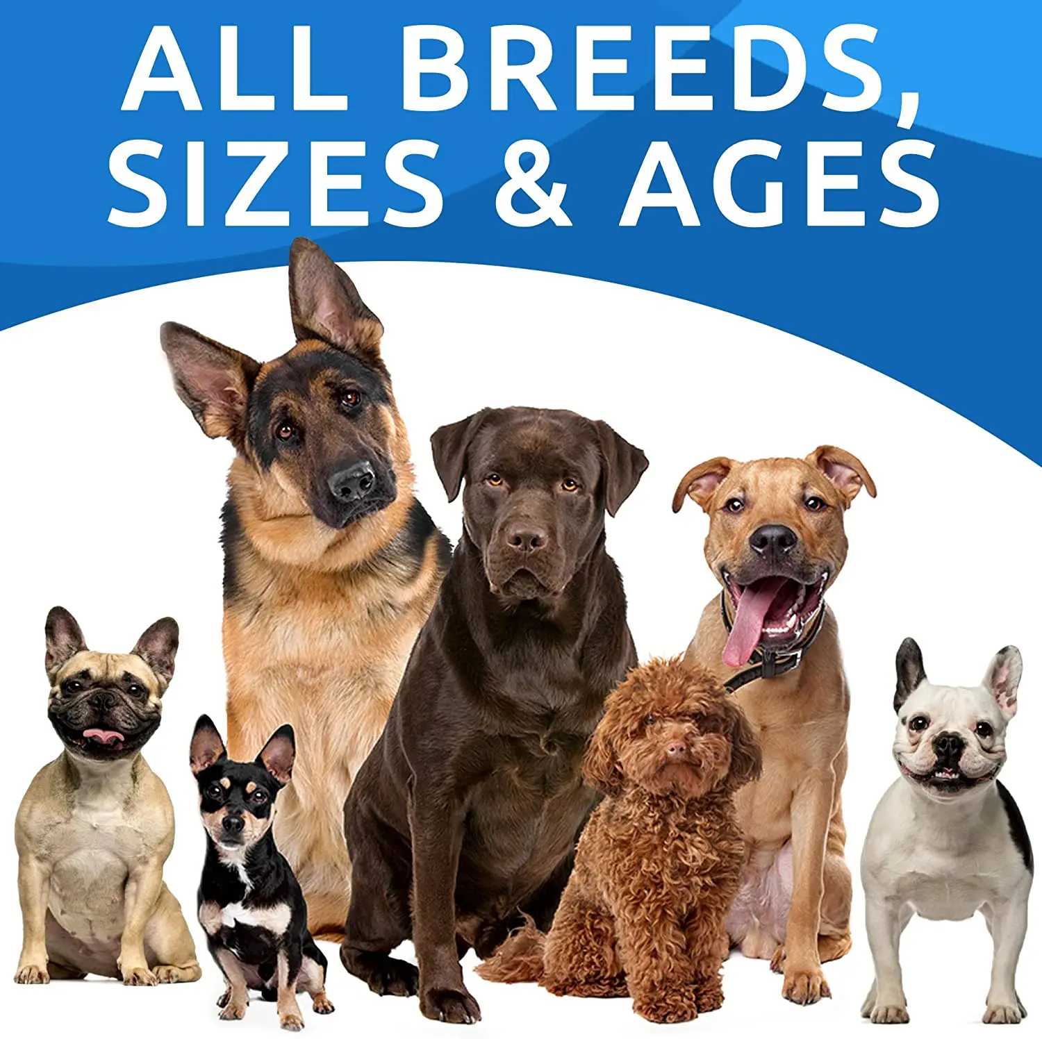 Customization 100% Wild Natural Salmon Fish Oil Helps Dogs Maintain Healthy Skin and Coat Healthy With Omega-3