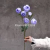 Light purple tea rose