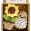 Beige Potato + sunflower gift box