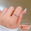 R115 argento [nessun sbiadimento]