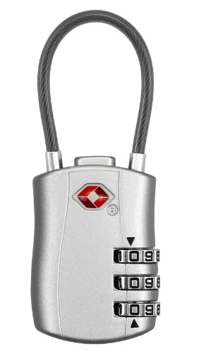 TSA 1.png