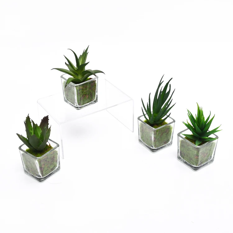 Новый дизайн офисный декор искусственные суккулентные растения с кубическим стеклянным горшком для продажи настоящая зелень