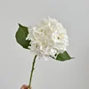 #1 white