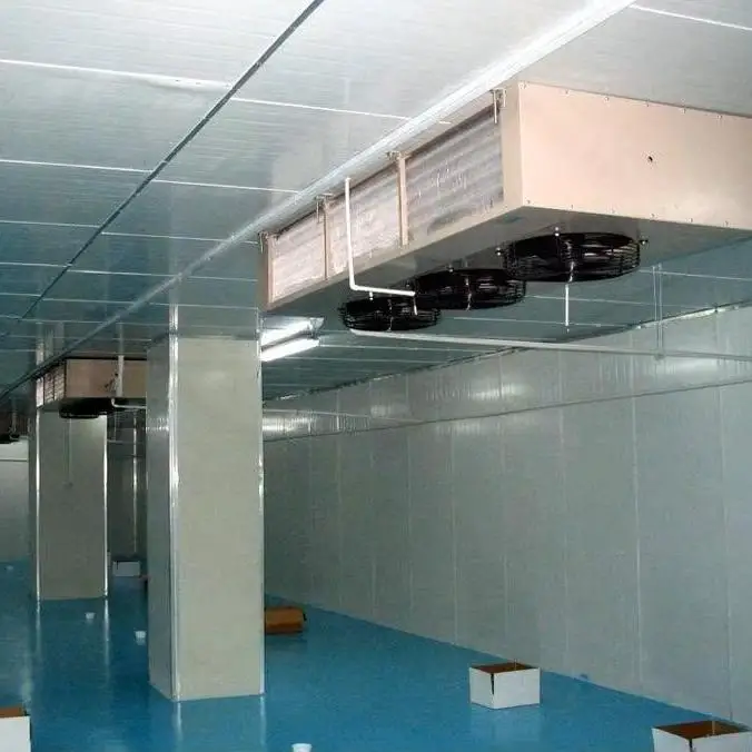 Energy-saving cold storage and frozen warehouse projects for storage of meat processing and agricultural projects