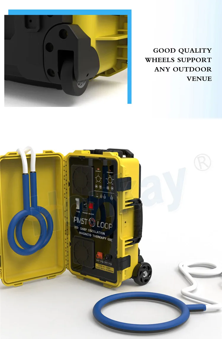 Pemf Device Pmst Loop Pulsed Field Therapy Machine With Large