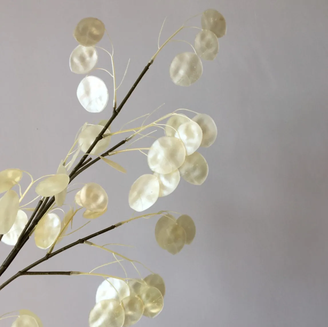 Artificial Honesty Flower Lunaria Annua Berry Round Fan Branch Colorful